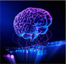 Neural connections